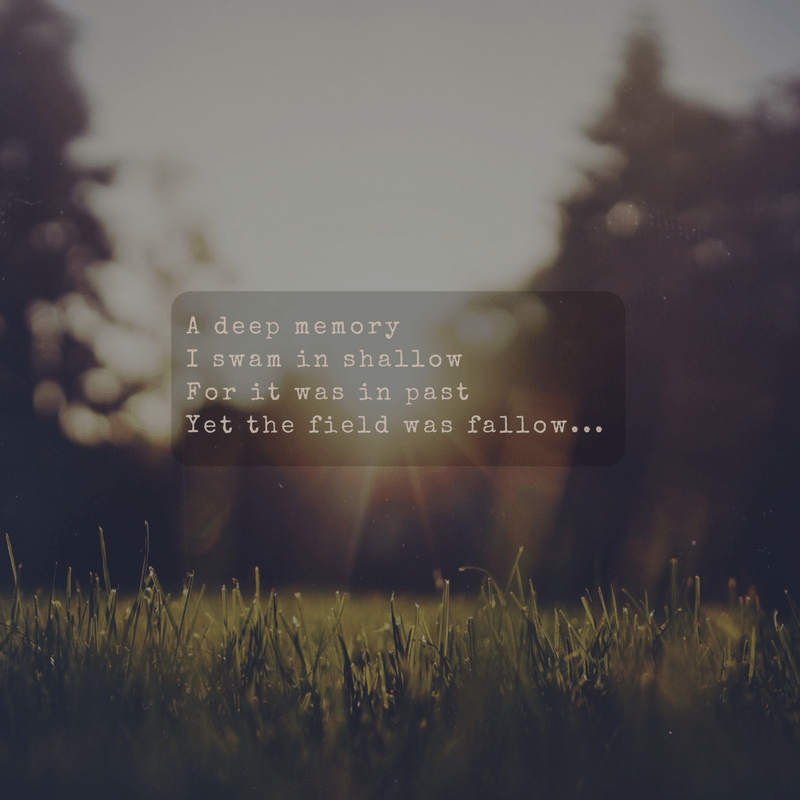 A memory I thought, I&nbsp;forgot.